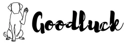 Szkoła Językowa Good Luck